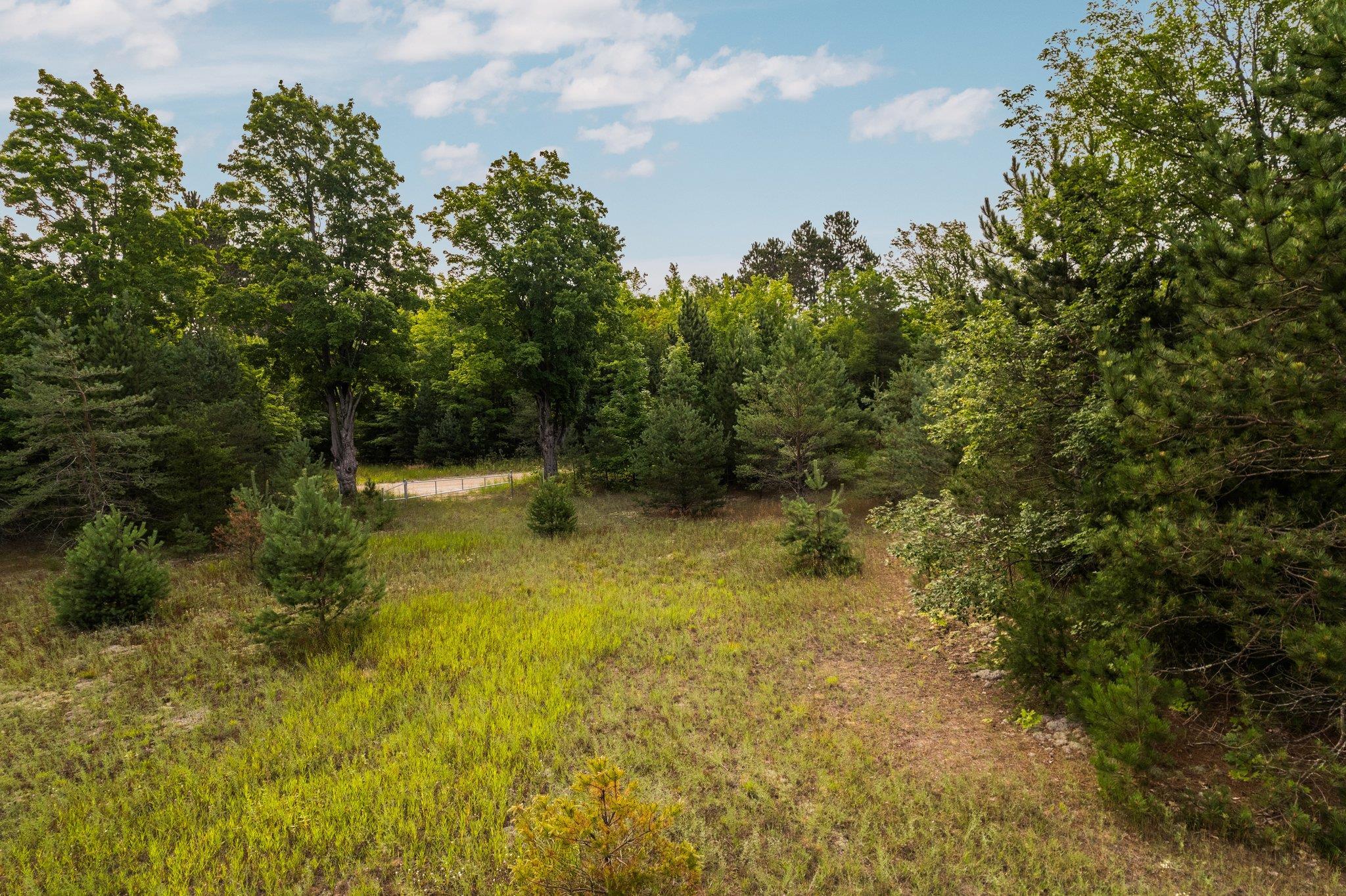 150 South Weldon Road Beulah, MI 49617 - Photo 10 of 24 Gallery Image 10