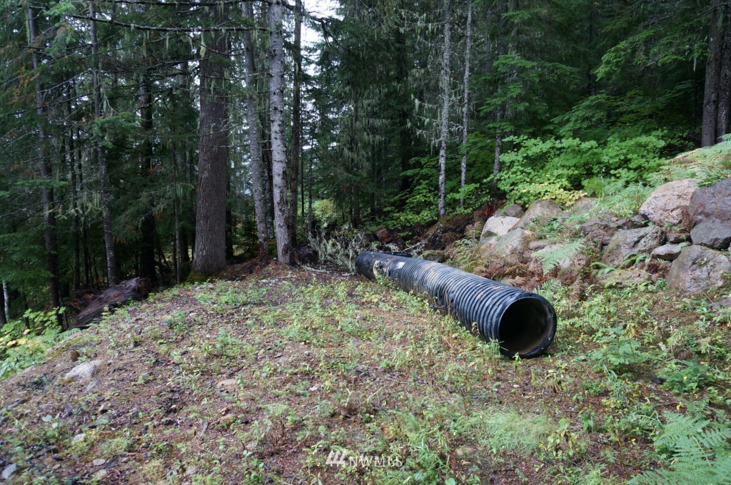 59 Lost Lake Road Easton, WA 98925 - Photo 2 of 8 Gallery Image 2