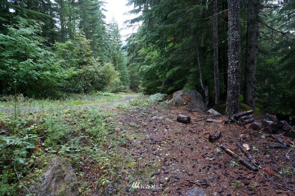 59 Lost Lake Road Easton, WA 98925 - Photo 5 of 8 Gallery Image 5
