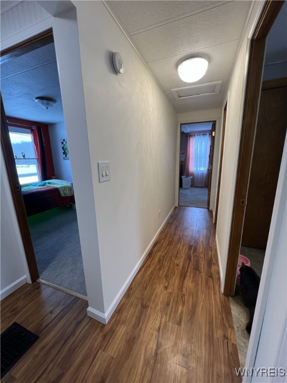 10679 Pavilion Center Road Pavilion, NY 14525 - Photo 24 of 44 Hallway