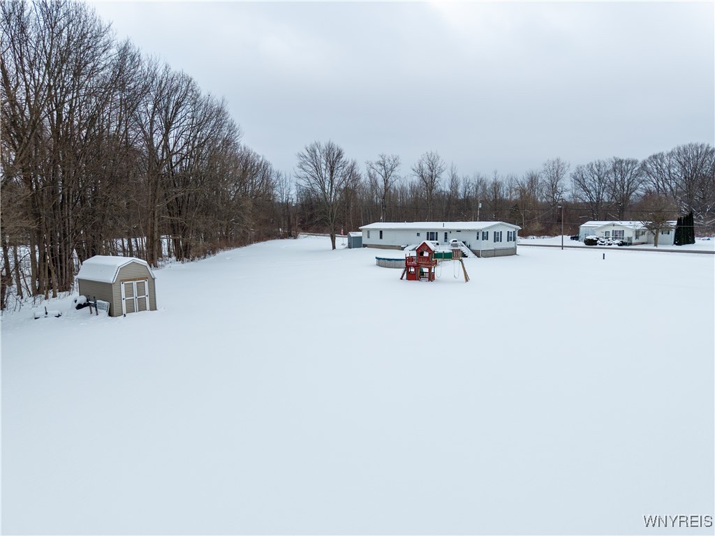 10679 Pavilion Center Road Pavilion, NY 14525 - Photo 40 of 47 Back Yard