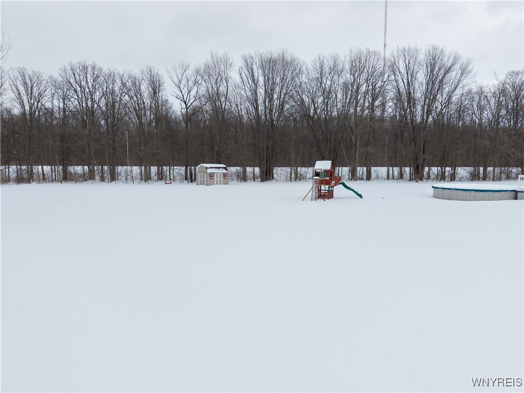 10679 Pavilion Center Road Pavilion, NY 14525 - Photo 42 of 47 Back Yard