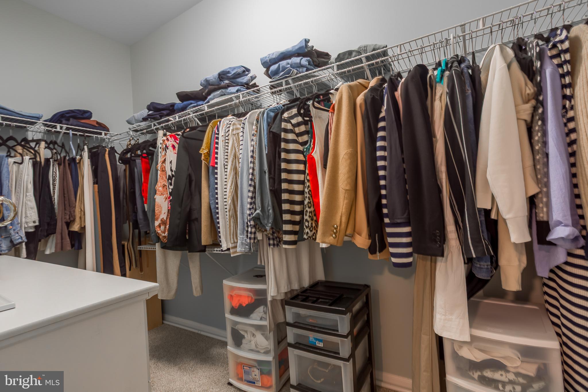 34491 Spring Brook Avenue Lewes, DE 19958 - Photo 24 of 59 a view of walk in closet with clothes and shoes