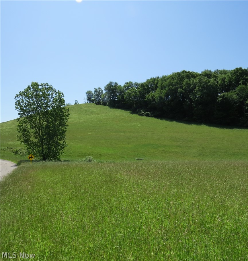 Fargo Road Southwest Dellroy, OH 44620 - Photo 6 of 14