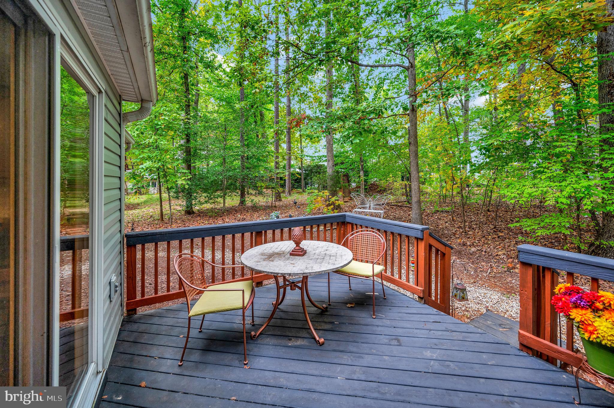 110 Greenspring Road Locust Grove, VA 22508 - Photo 25 of 40 BBQ anyone?