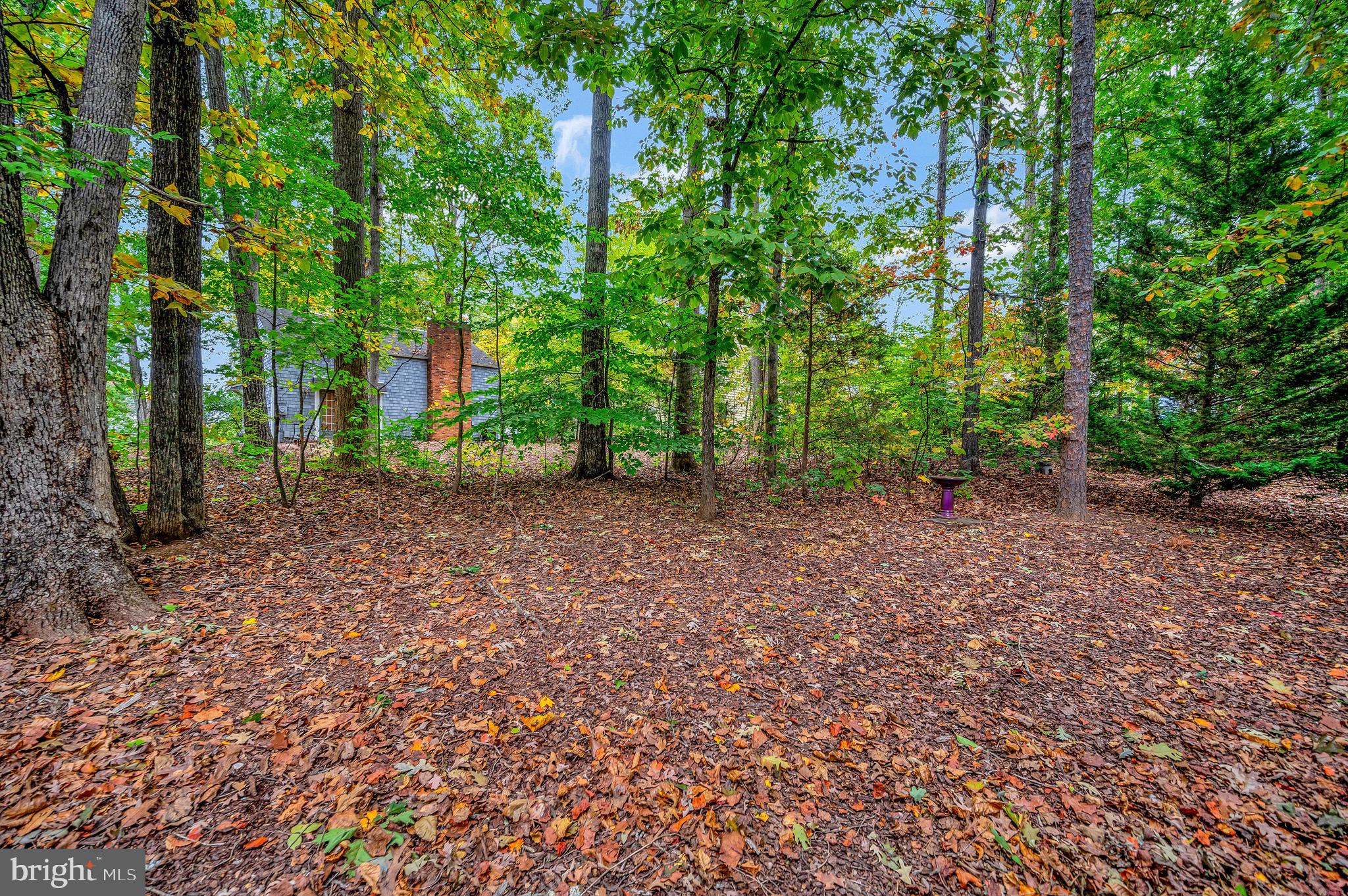 110 Greenspring Road Locust Grove, VA 22508 - Photo 26 of 40 Yard for kids and pets to play