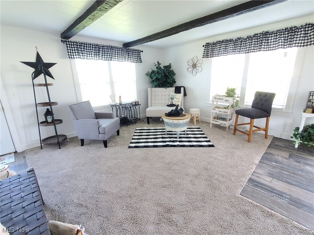2462 South Ridge Road East Kingsville, OH 44048 - Photo 12 of 33 Gallery Image 12
