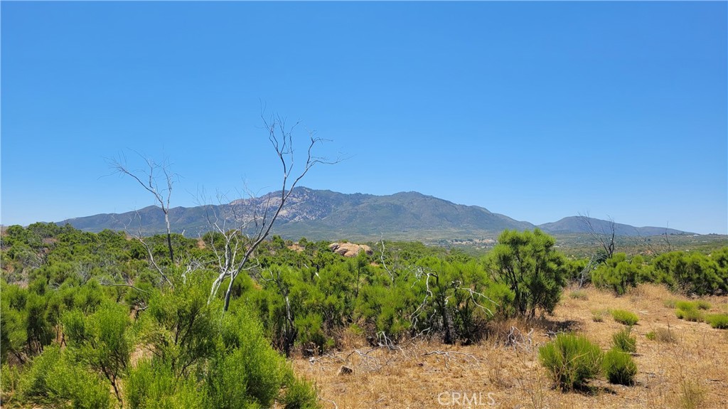 0 Old Ranch Road Anza, CA 92539 - Photo 1 of 1 Gallery Image 1