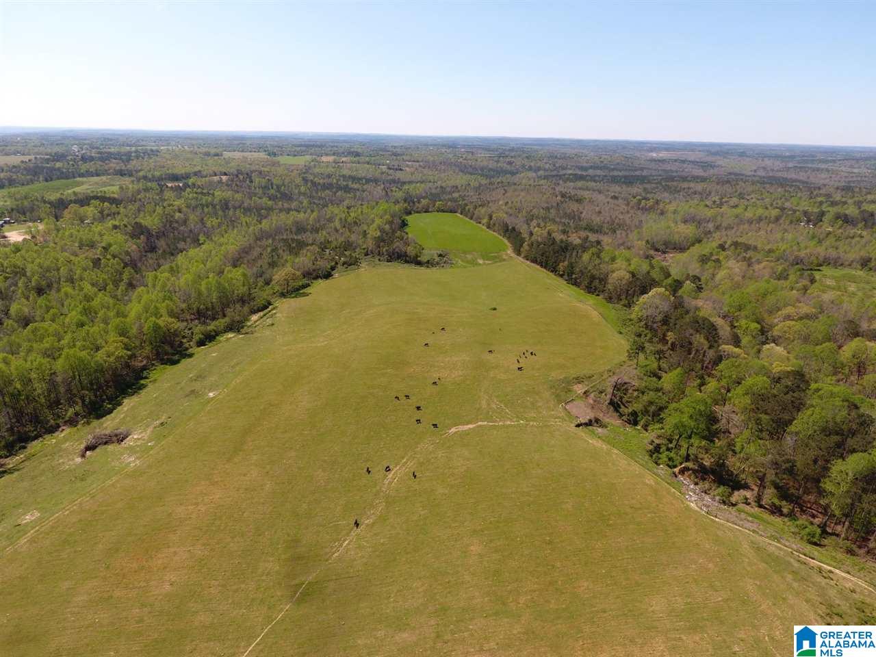 0 County Road 30, Unit 1 Clanton, AL 35045 - Photo 1 of 32