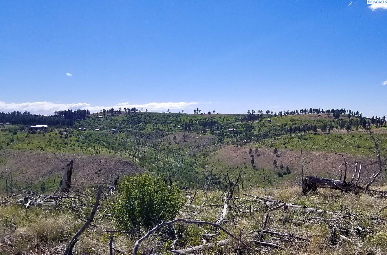 Kna Linville Ridge Road Pomeroy, WA 99347 - Photo 8 of 25 Gallery Image 8
