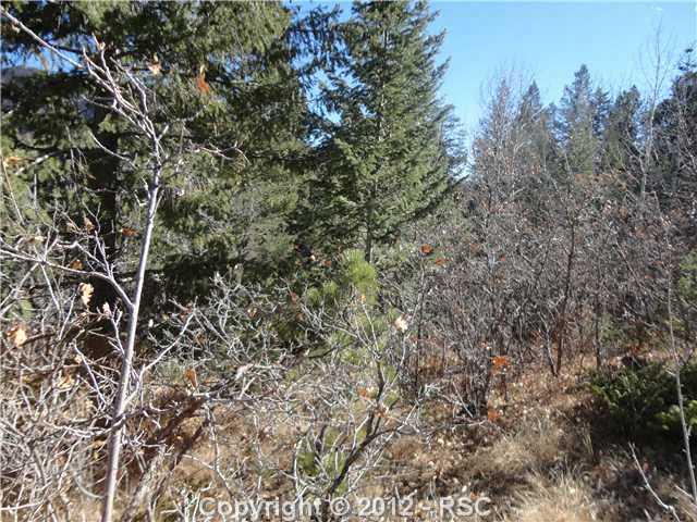 Timpa Road Cascade, CO 80809 - Photo 2 of 6