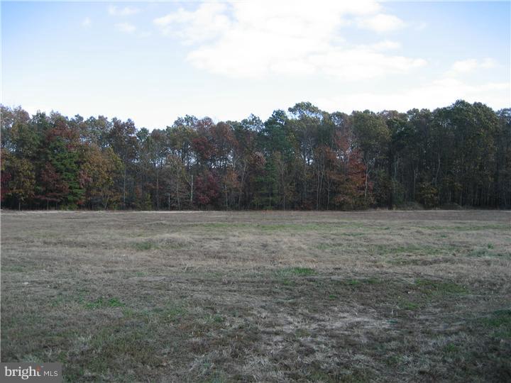 1070 Janvier Road Williamstown, NJ 08094 - Photo 25 of 25 View in Back