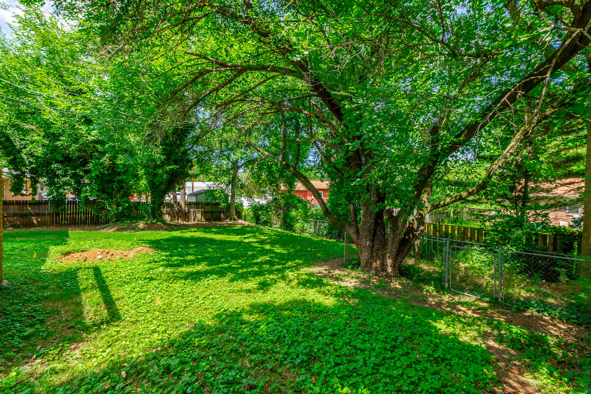4116 Norcross Road Hixson, TN 37343 - Photo 6 of 52 4116 Norcross Road HD-18