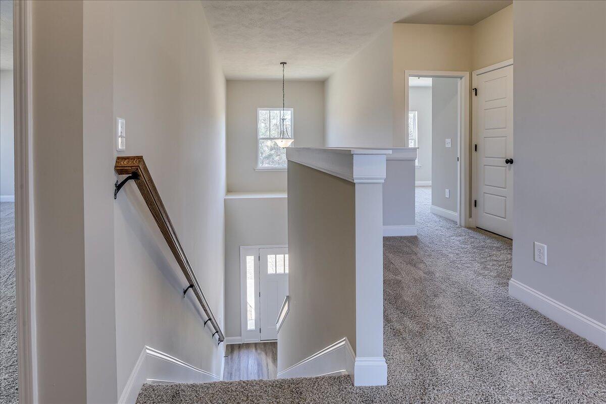4138 Fringetree Loop New Ellenton, SC 29809 - Photo 23 of 38 23-123