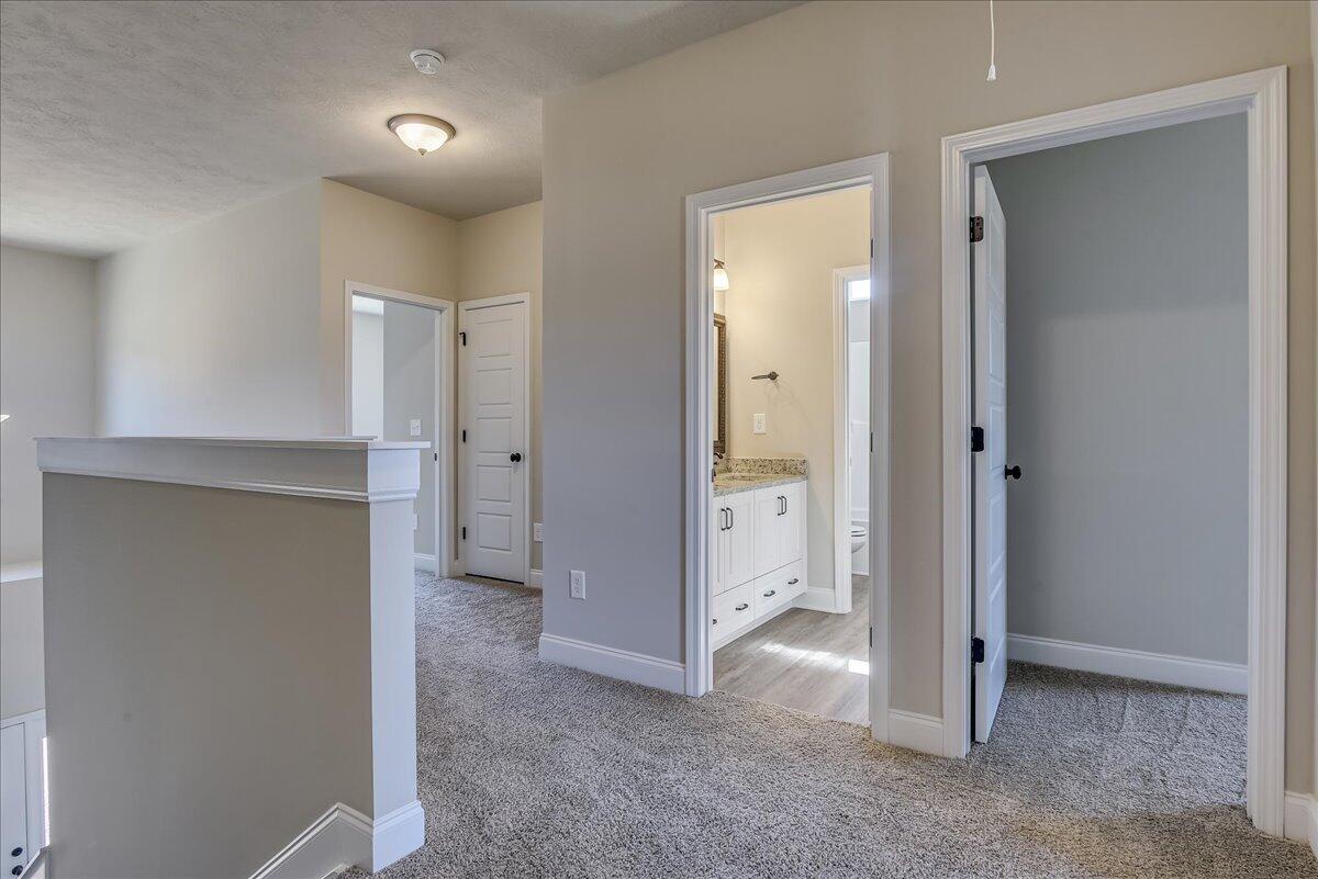 4138 Fringetree Loop New Ellenton, SC 29809 - Photo 24 of 38 24-124