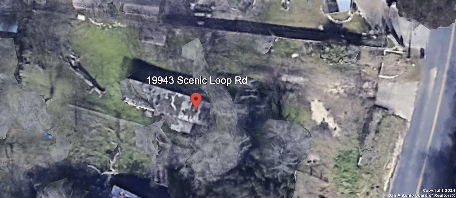 a view of water tree