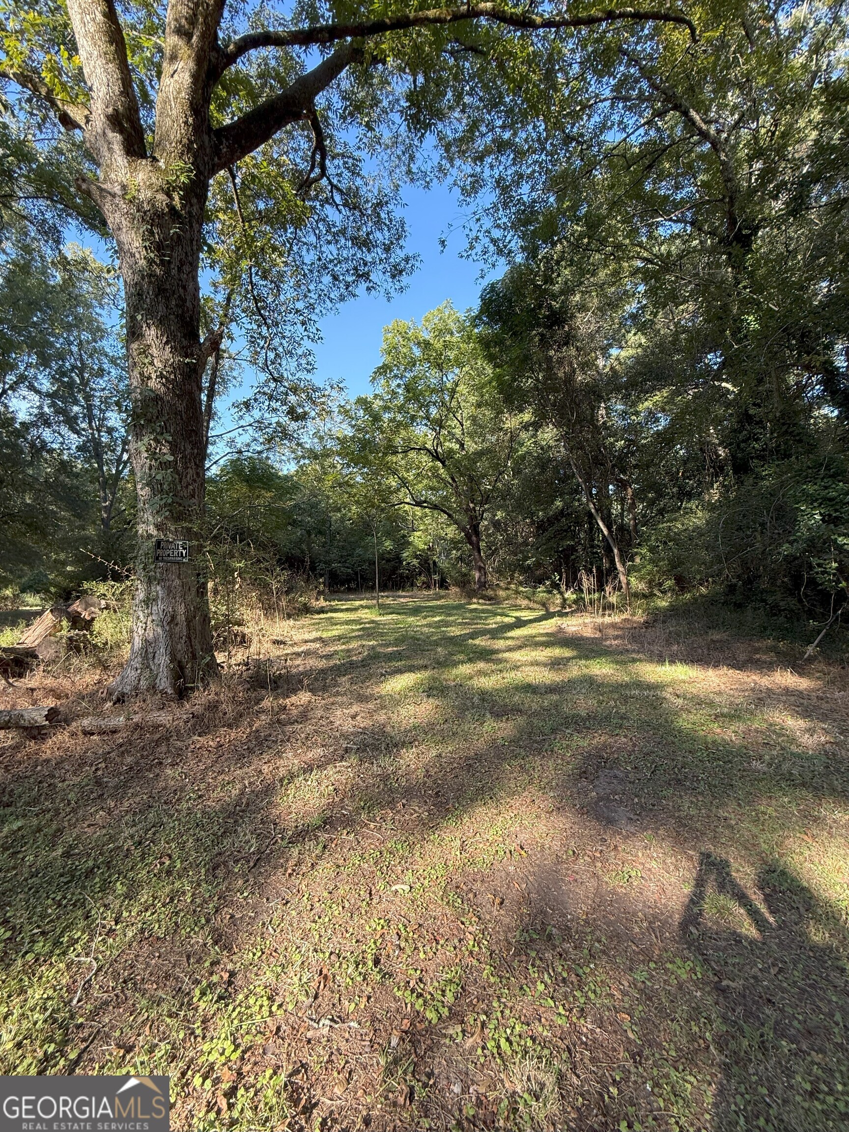 516 Harris Street Monroe, GA 30655 - Photo 10 of 25 a view of outdoor space with trees