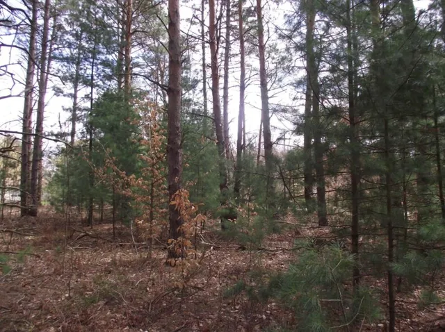 $8,500 | Vl Brook Avenue, Kaleva, MI 49645