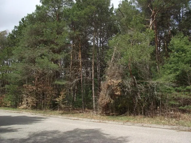 $8,500 | Vl Brook Avenue, Kaleva, MI 49645