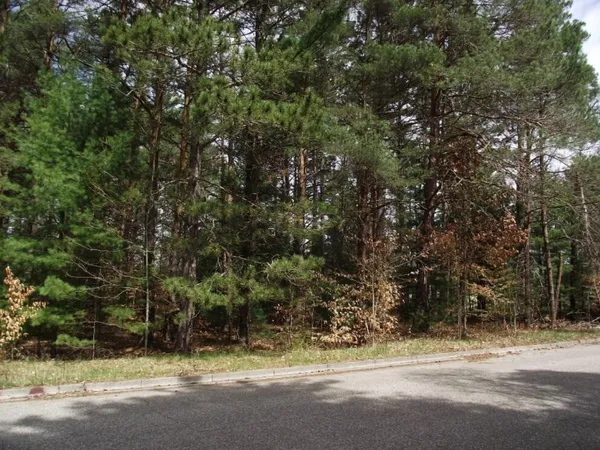 $7,500 | Vl Brook Avenue, Kaleva, MI 49645