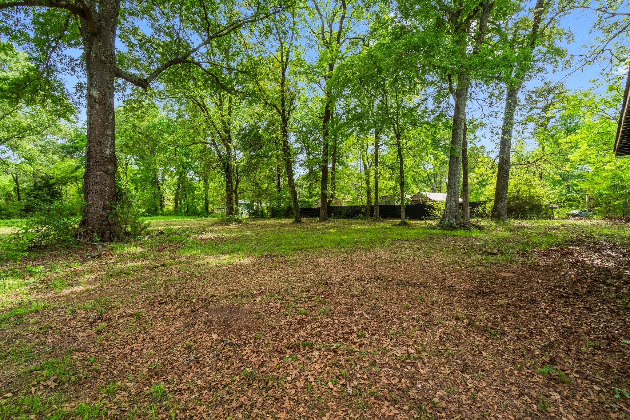 758 Jones Road New Waverly, TX 77358 - Photo 21 of 34 a view of a trees in a park