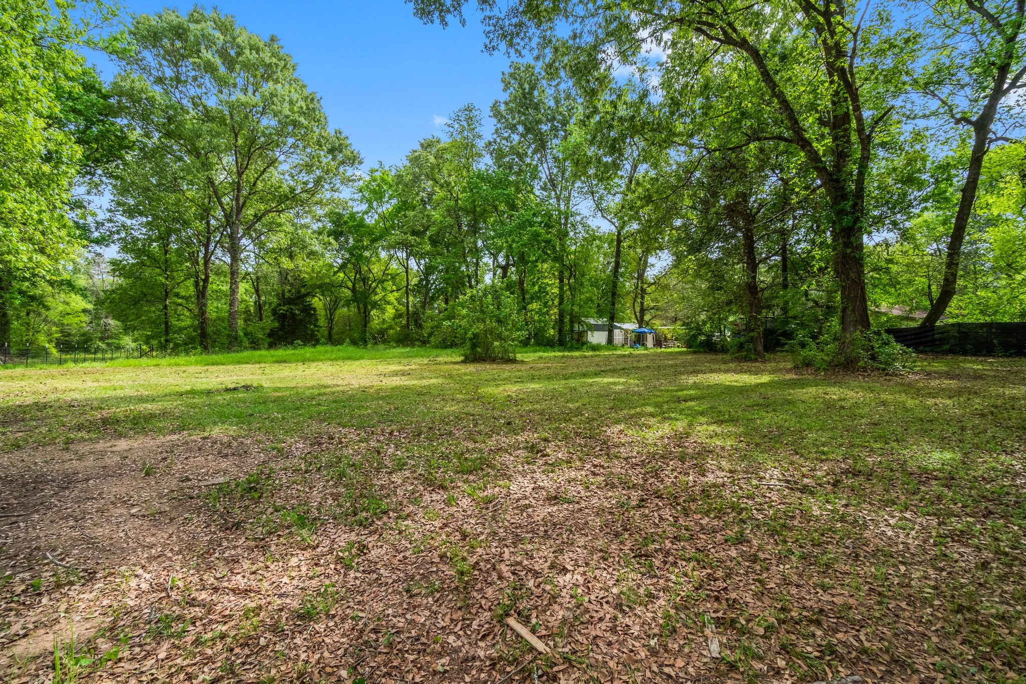 758 Jones Road New Waverly, TX 77358 - Photo 24 of 34 a view of a grassy field with trees in the background