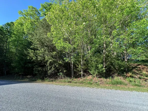 a view of a yard with a trees