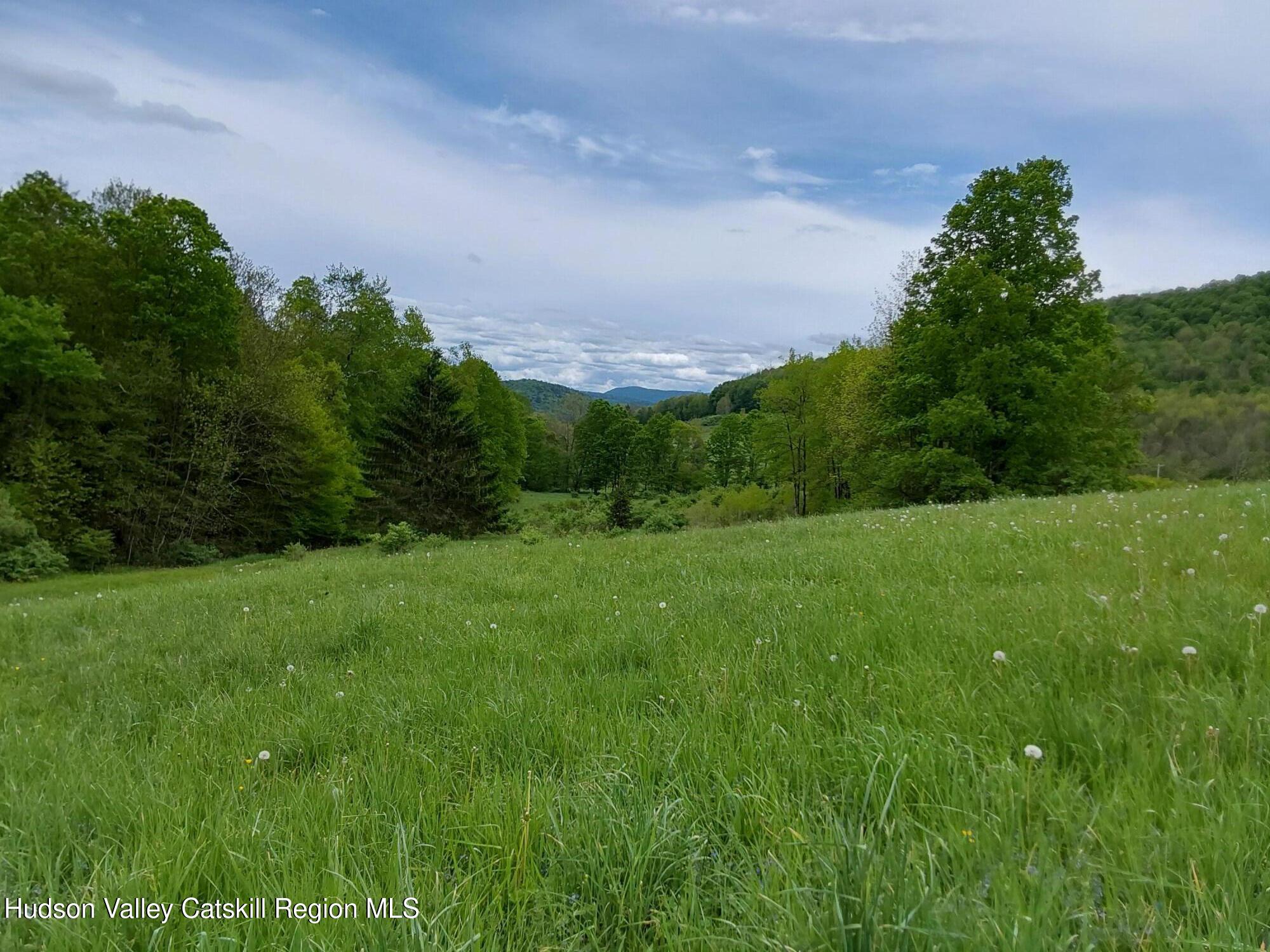 Tbd Upper Dingle Hill Road Andes, NY 13731 - Photo 7 of 44 1000000336