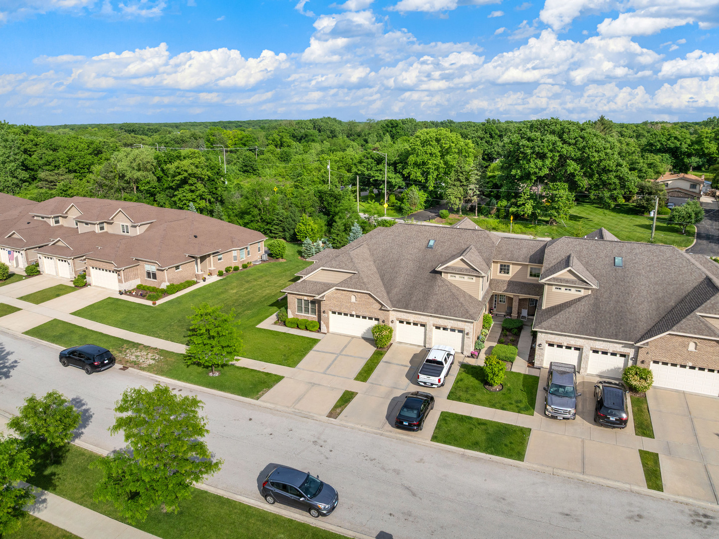 12876 Rosa Lane Lemont, IL 60439 - Photo 60 of 64