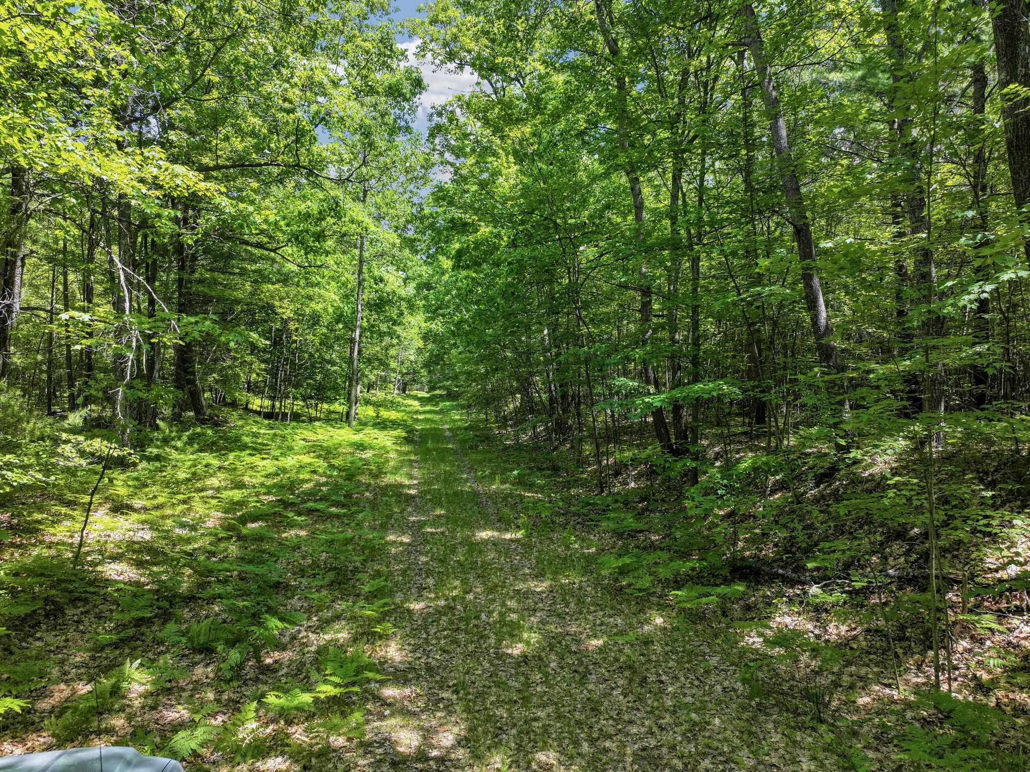 Parcel A Seeley Road Lake City, MI 49651 - Photo 6 of 16