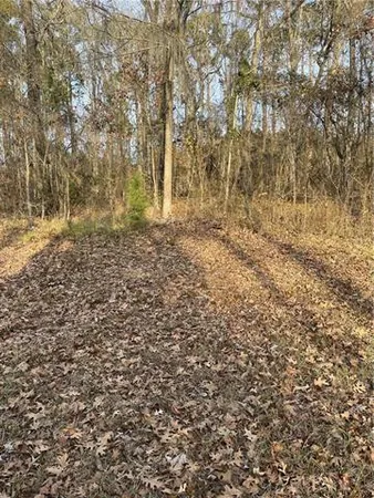 $29,500 | 0 Sheriff Bailey Road, Goldonna, LA 71031