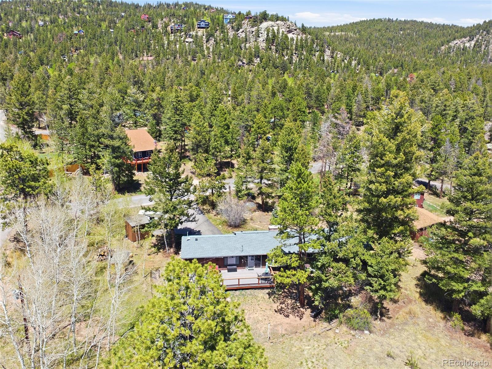 31280 Florence Road Conifer, CO 80433 - Photo 32 of 41