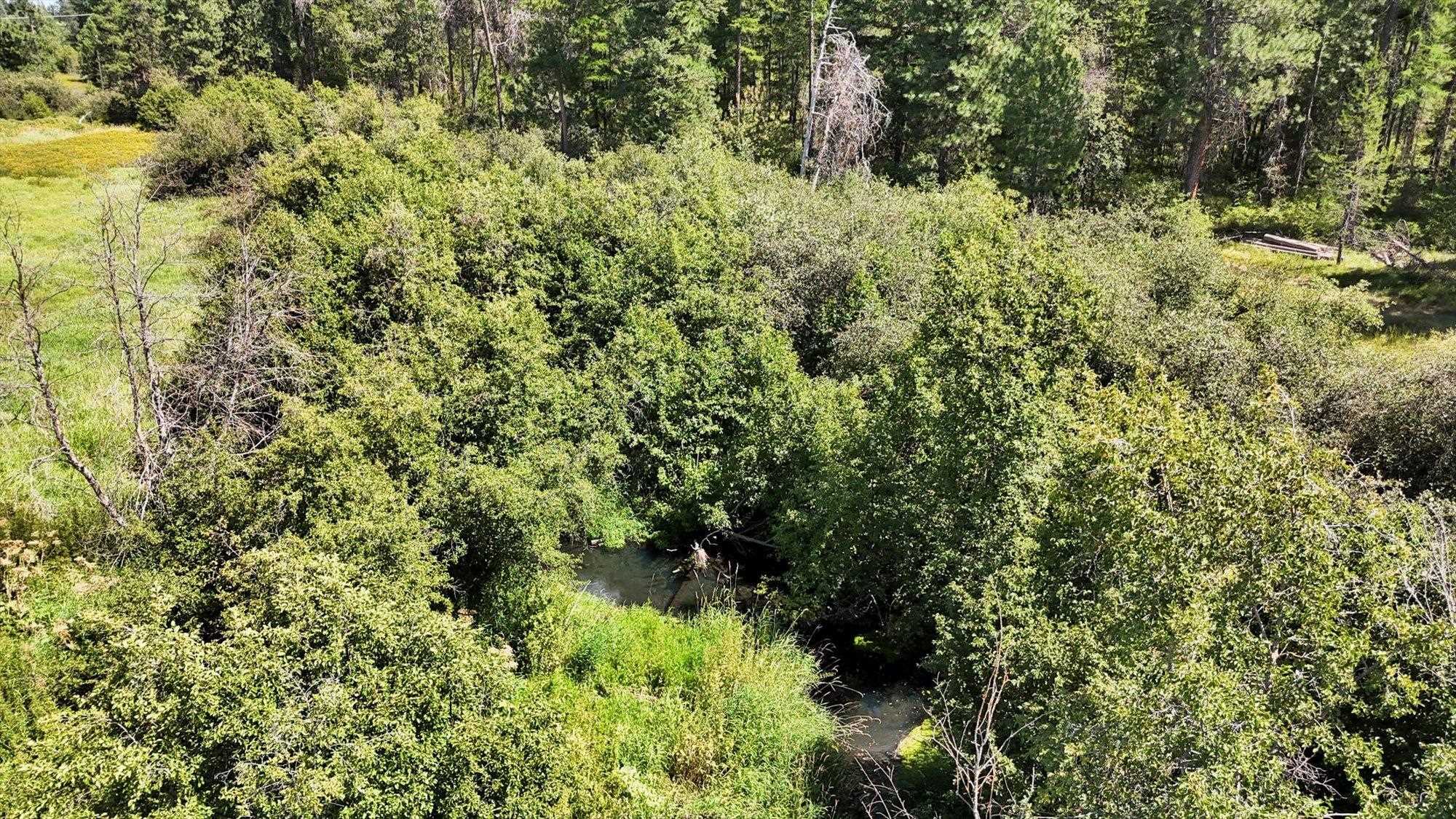 6311 West Herman Road Deer Park, WA 99006 - Photo 15 of 21