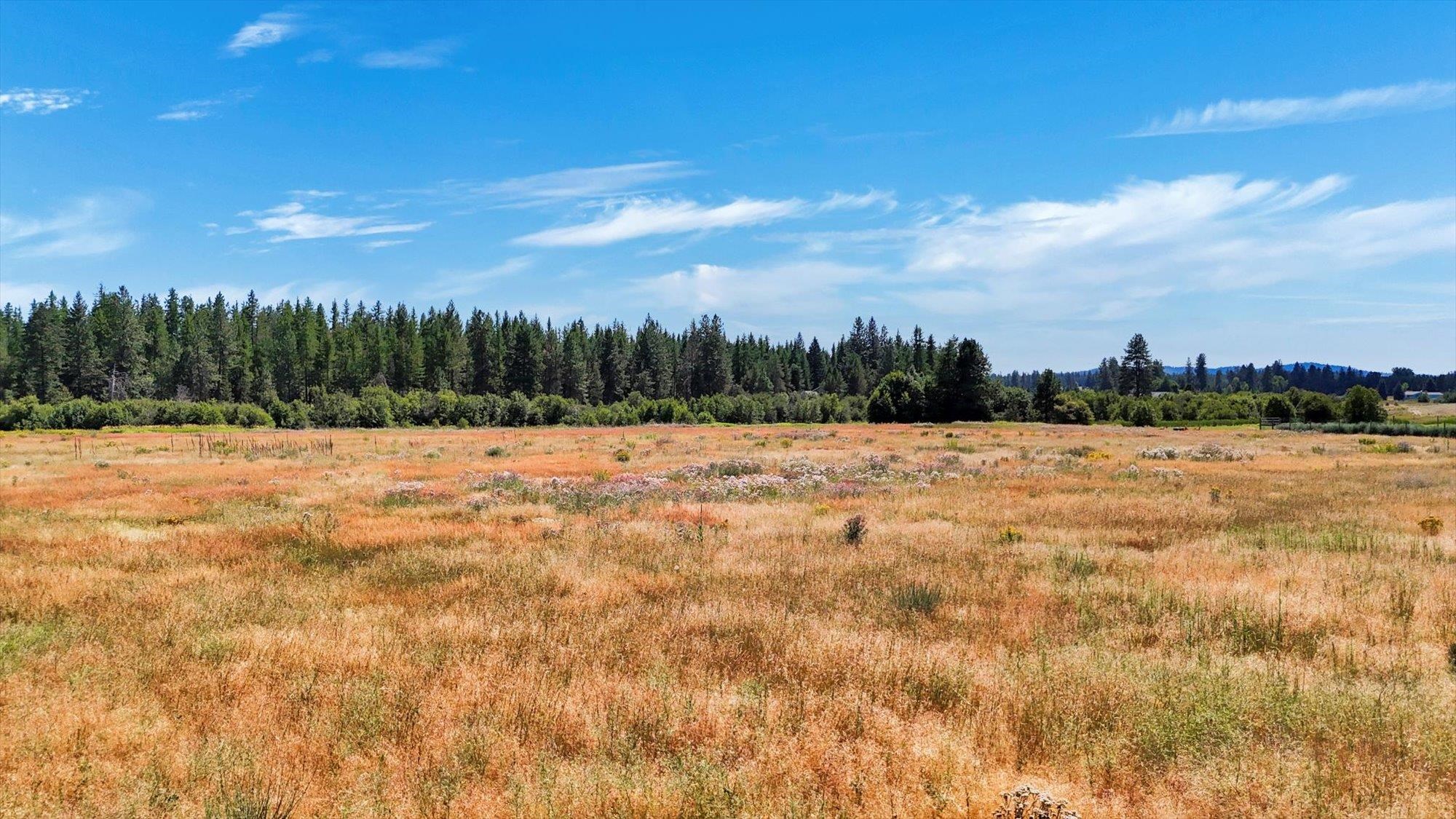 6311 West Herman Road Deer Park, WA 99006 - Photo 20 of 21