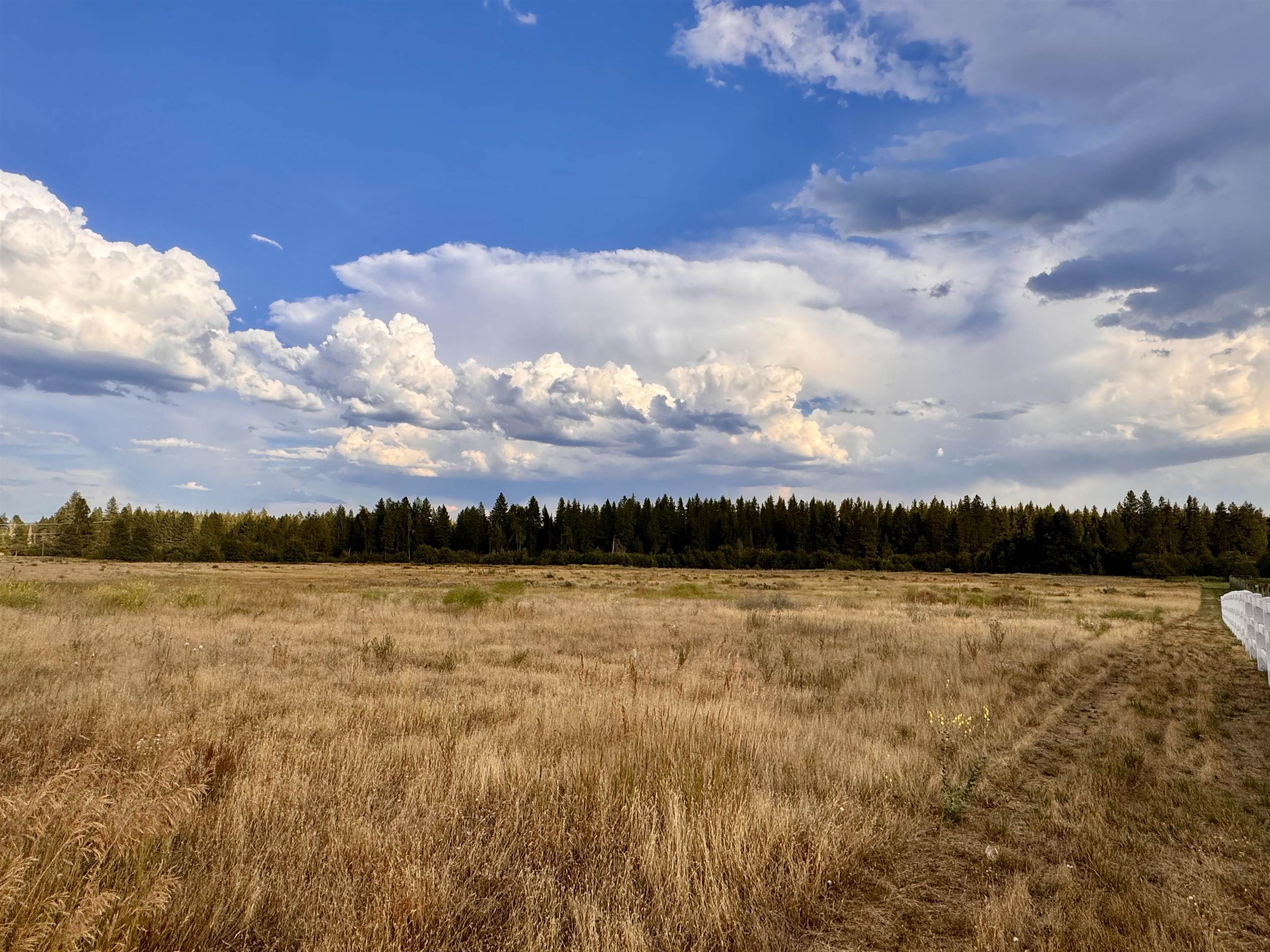 6311 West Herman Road Deer Park, WA 99006 - Photo 21 of 21