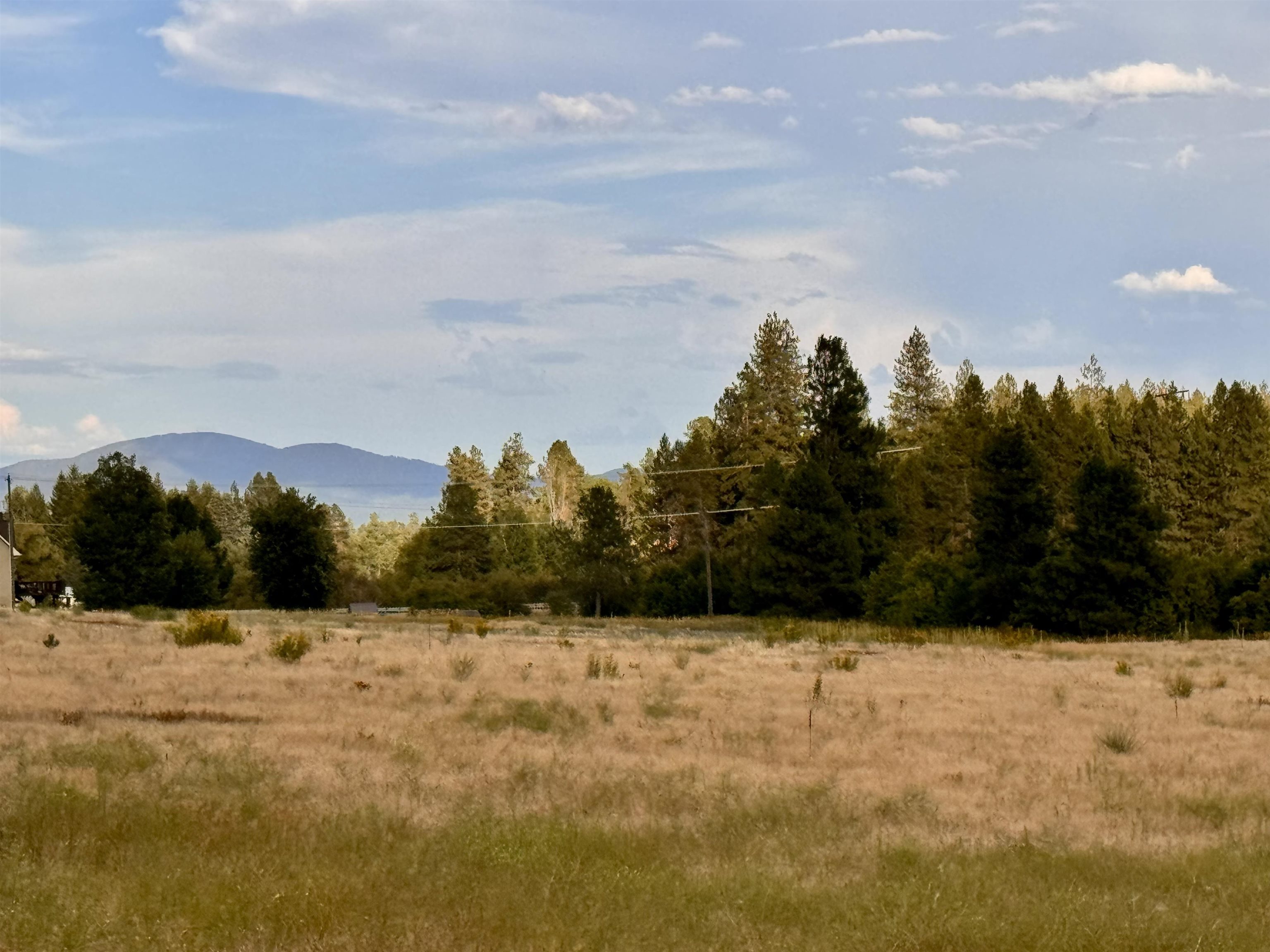 6311 West Herman Road Deer Park, WA 99006 - Photo 3 of 21