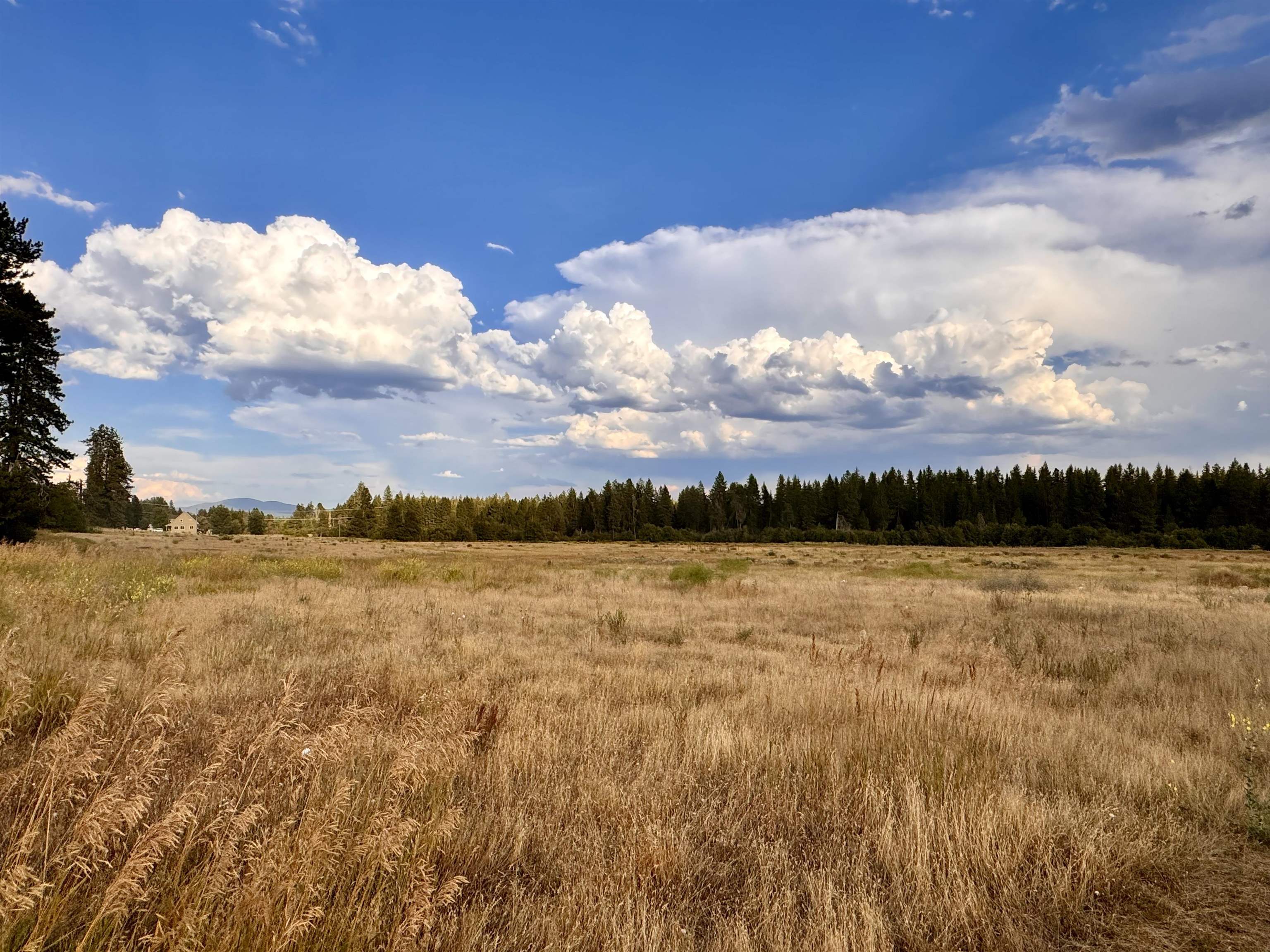 6311 West Herman Road Deer Park, WA 99006 - Photo 4 of 21