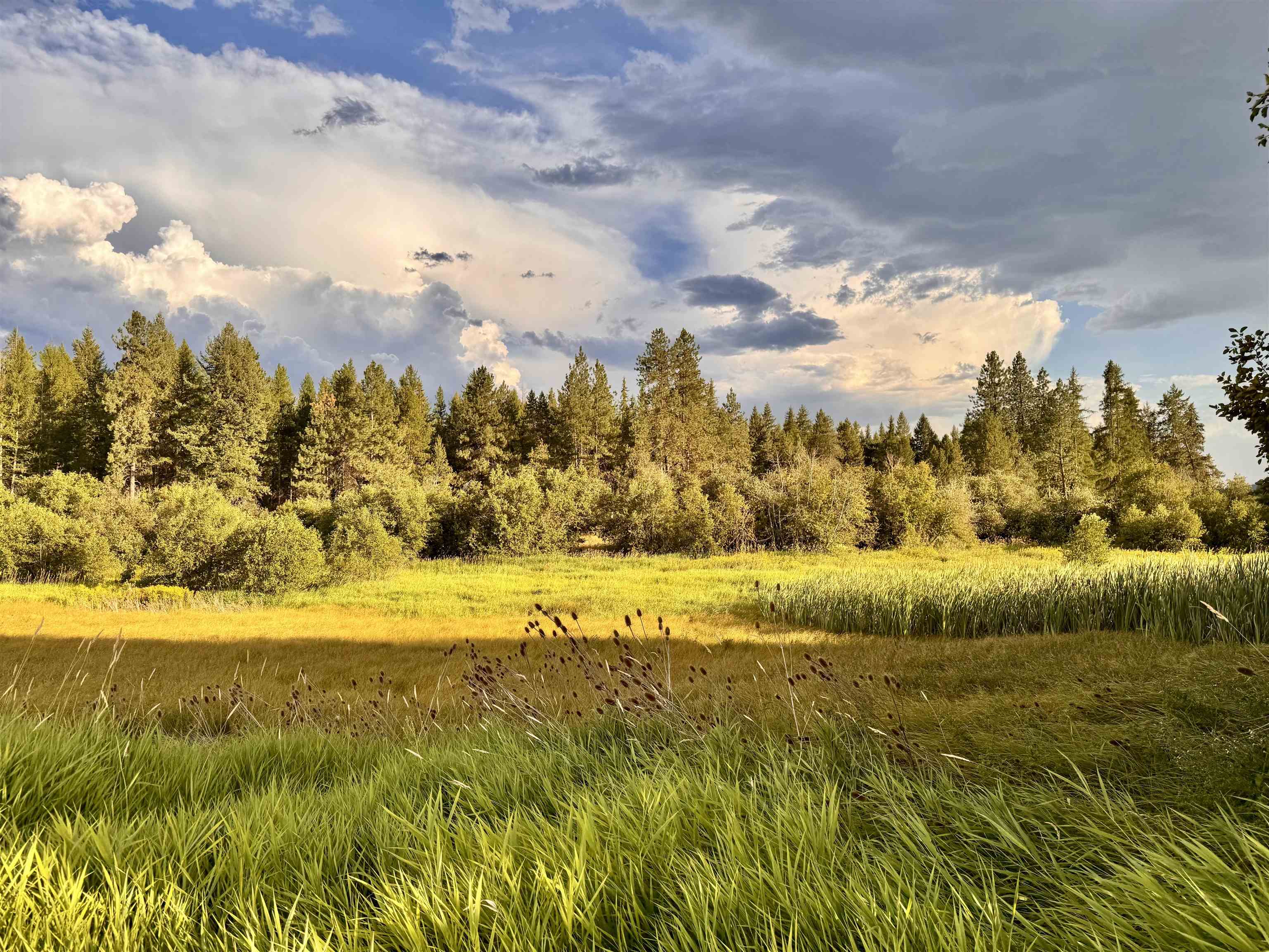 6311 West Herman Road Deer Park, WA 99006 - Photo 5 of 21