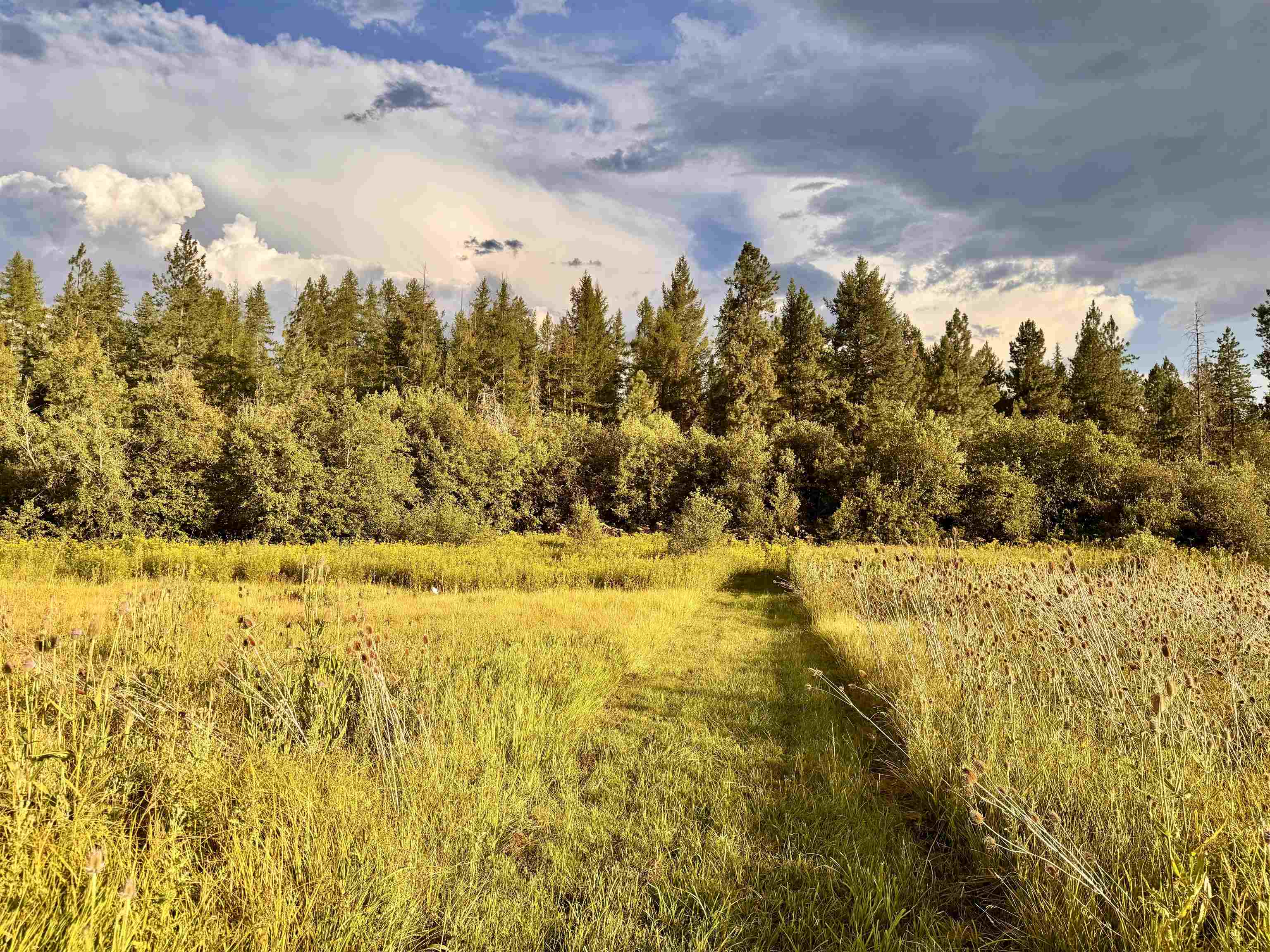 6311 West Herman Road Deer Park, WA 99006 - Photo 6 of 21