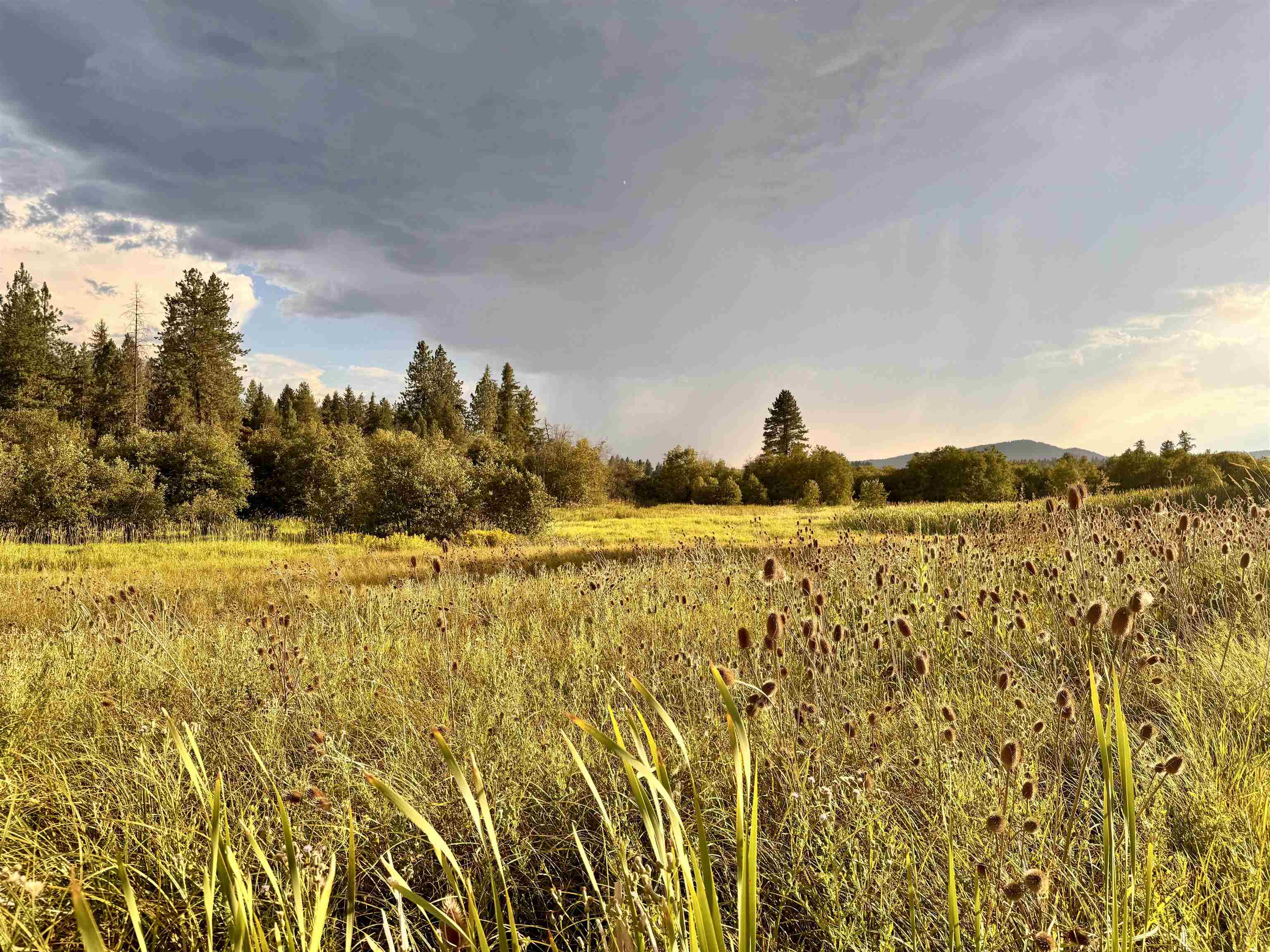 6311 West Herman Road Deer Park, WA 99006 - Photo 7 of 21