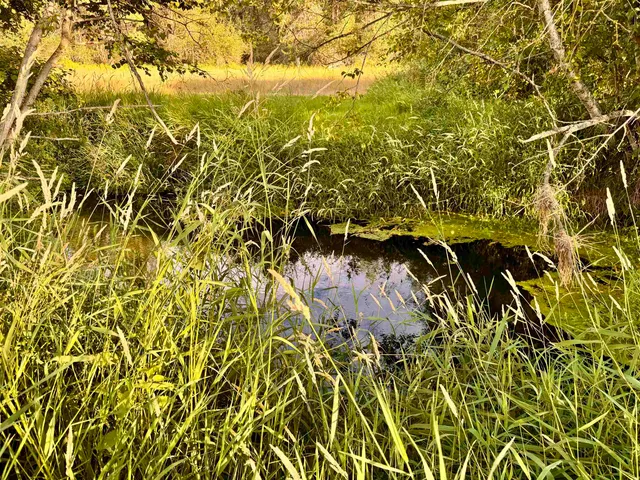 $240,000 | 6311 West Herman Road, Deer Park, WA 99006