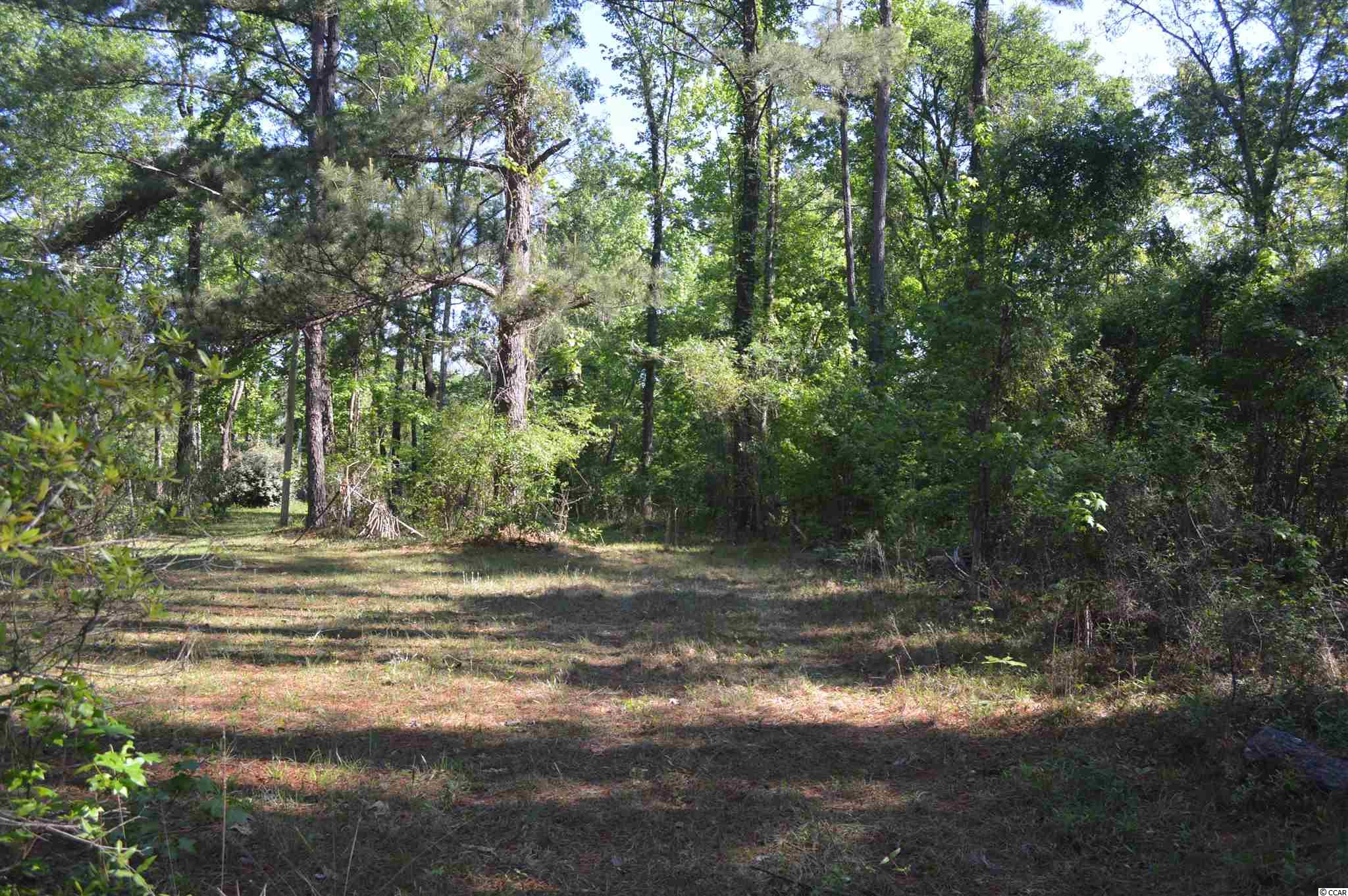914 Petersfield Landing Road Hemingway, SC 29554 - Photo 2 of 11