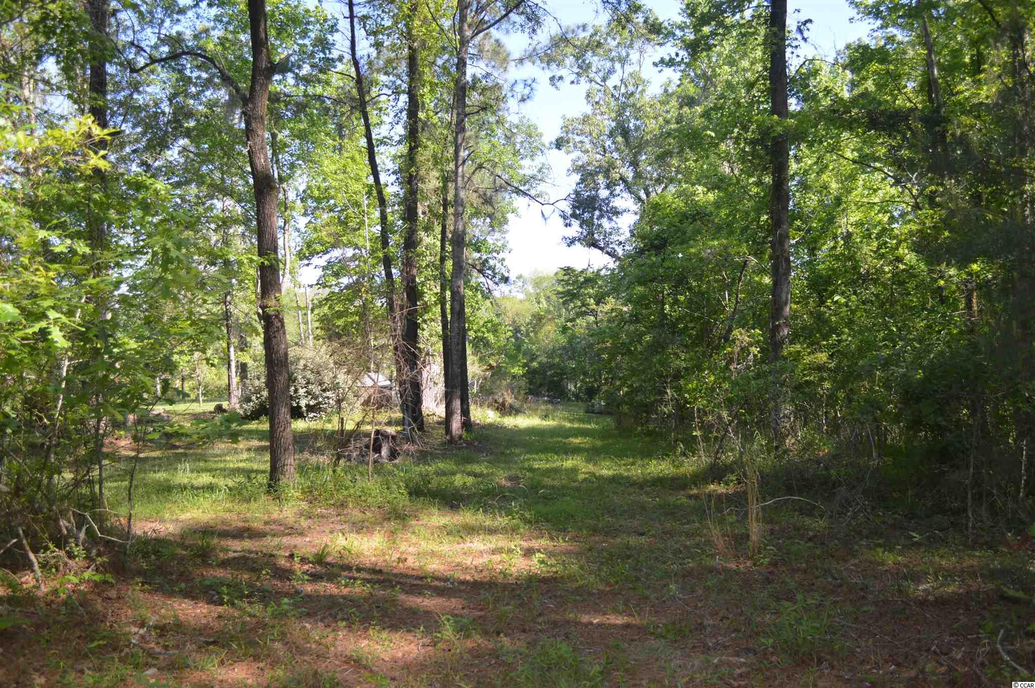 914 Petersfield Landing Road Hemingway, SC 29554 - Photo 3 of 11