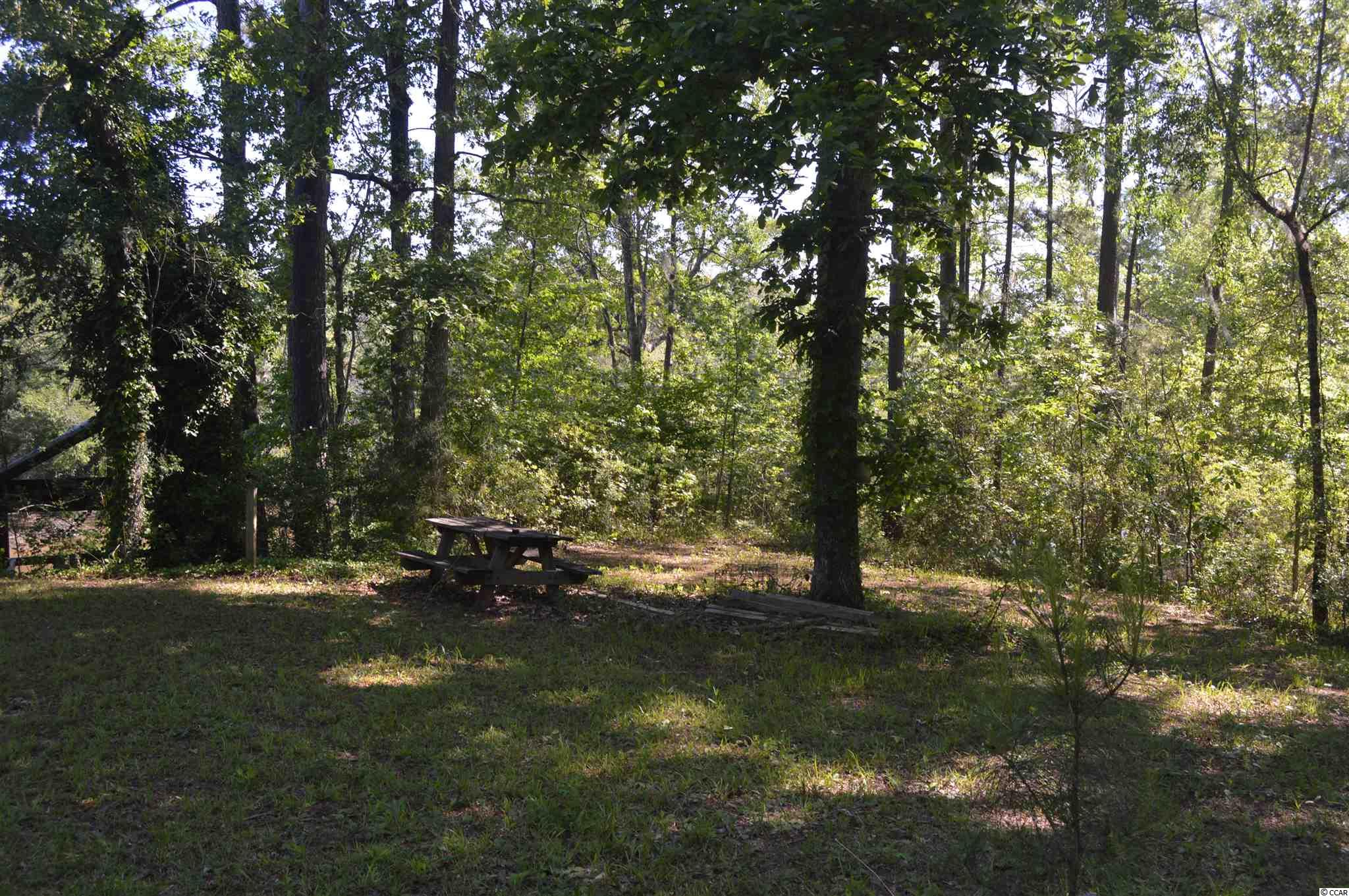 914 Petersfield Landing Road Hemingway, SC 29554 - Photo 5 of 11
