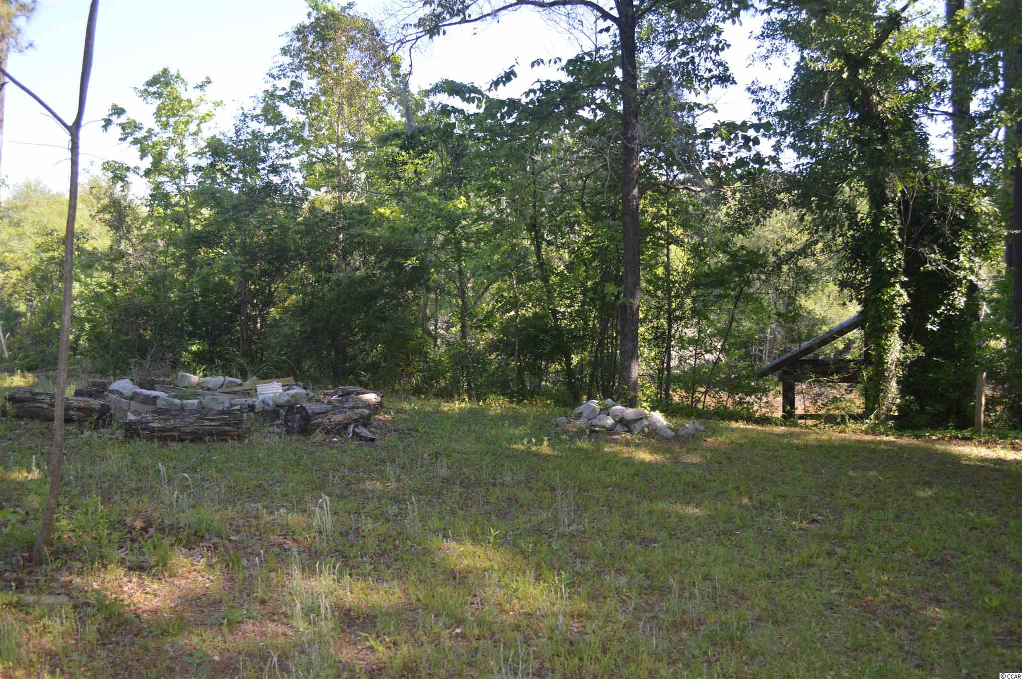 914 Petersfield Landing Road Hemingway, SC 29554 - Photo 6 of 11