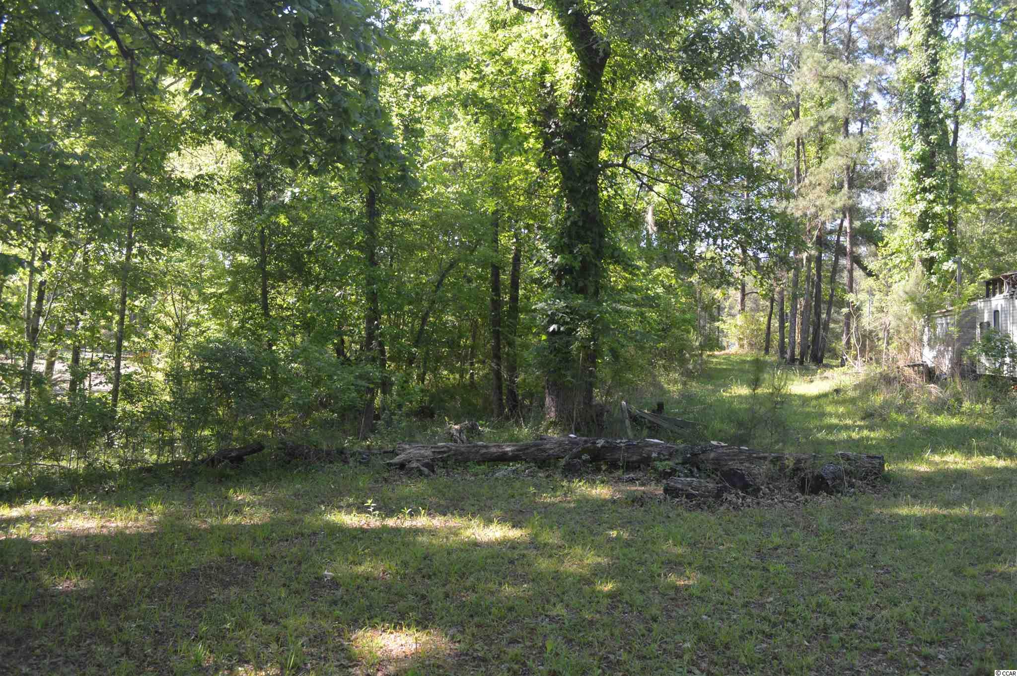 914 Petersfield Landing Road Hemingway, SC 29554 - Photo 9 of 11