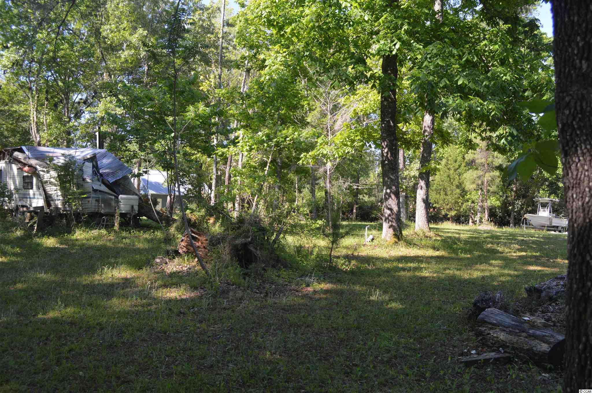 914 Petersfield Landing Road Hemingway, SC 29554 - Photo 10 of 11
