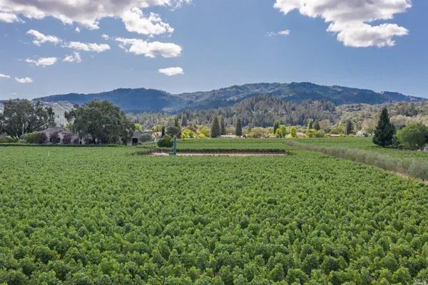 $6,500 | 1655 Scott Street, St. Helena, CA 94574