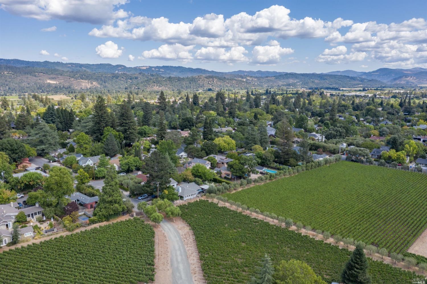 1655 Scott Street St. Helena, CA 94574 - Photo 38 of 38