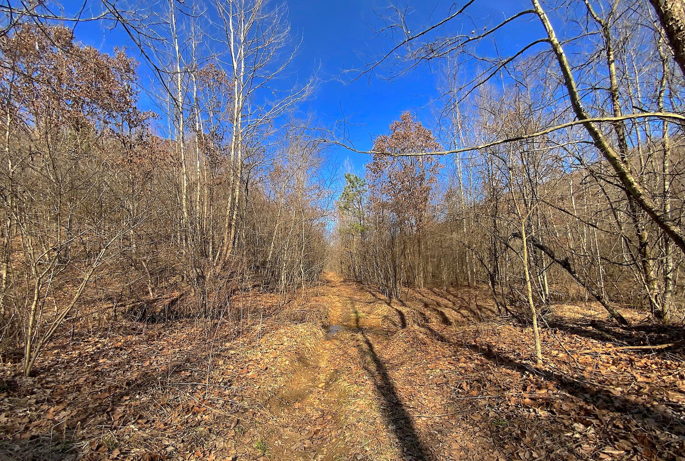 0 Kelly Road Ray, OH 45672 - Photo 25 of 46 Vinton County Kelly Rd 24